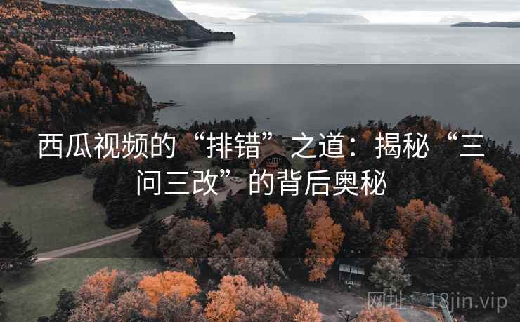 西瓜视频的“排错”之道：揭秘“三问三改”的背后奥秘