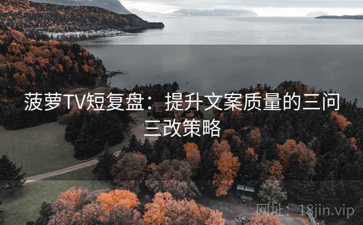 菠萝TV短复盘：提升文案质量的三问三改策略  第2张