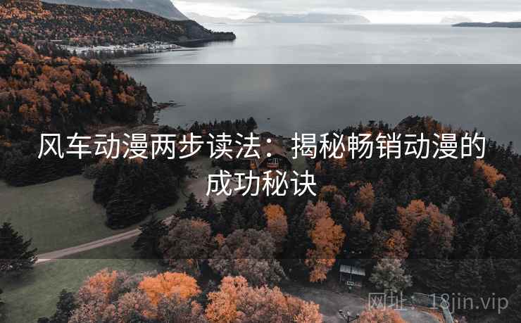 风车动漫两步读法:揭秘畅销动漫的成功秘诀